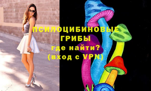 а пвп мука Белокуриха