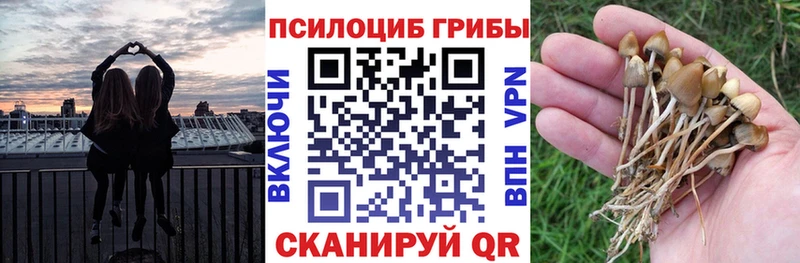 Купить закладки  Мыски  Галлюциногенные грибы GOLDEN TEACHER 